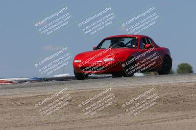 media/Oct-04-2025-OnGrid (Sat) [[44bd565ffa]]/Green Group/Grapevine/